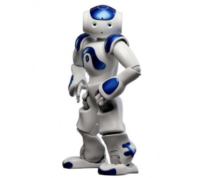 Nao Casual Robots