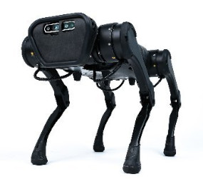 Patitas A1 Casual Robots