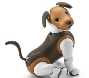 Aibo Casual Robots