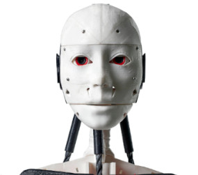 Inmoov