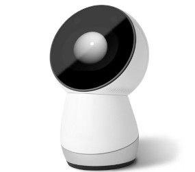 Jibo