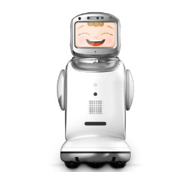 Sanbot Nano Casual Robots