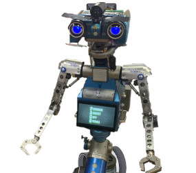 Seguritron Johnny5 Casual Robots