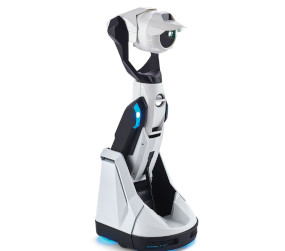 Tipron Casual Robots