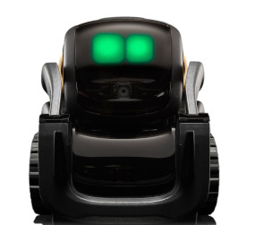 Vector