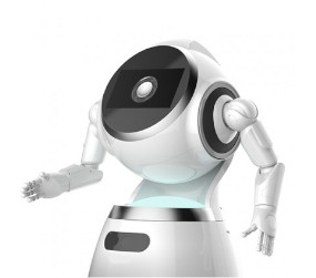 Cruzr Casual Robots