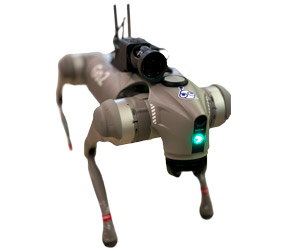 Go2 Casual Robots